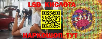 сатива Краснодар