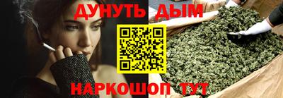 сатива Краснодар
