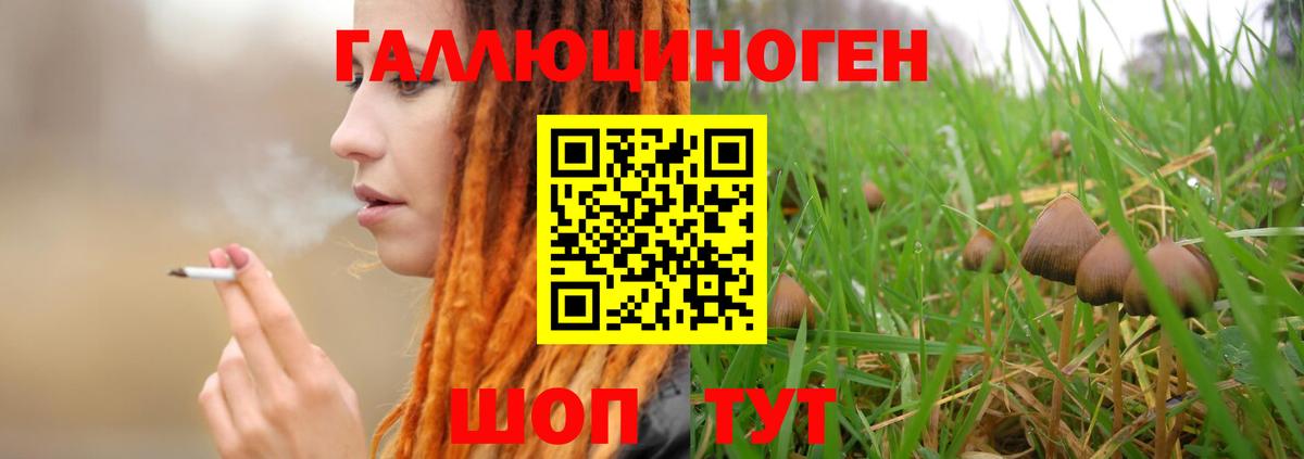 Псилоцибиновые грибы GOLDEN TEACHER Звенигород