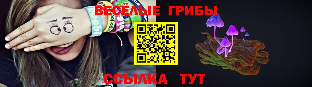 Звенигород  Псилоцибиновые грибы прущие грибы  Вход с VPN 